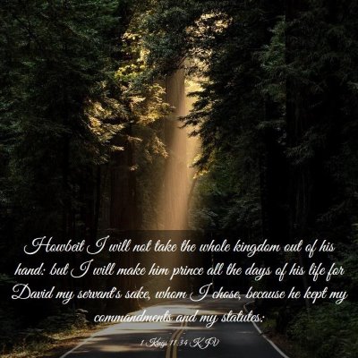 Picture 03 - 1 Kings 11:34 KJV - Howbeit I will not take the whole kingdom out of - Bible Verse Picture