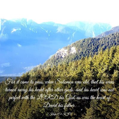 Picture 03 - 1 Kings 11:4 KJV - For it came to pass, when Solomon was old, that - Bible Verse Picture