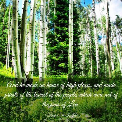 Picture 03 - 1 Kings 12:31 KJV - And he made an house of high places, and made - Bible Verse Picture