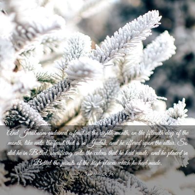 Picture 03 - 1 Kings 12:32 KJV - And Jeroboam ordained a feast in the eighth - Bible Verse Picture
