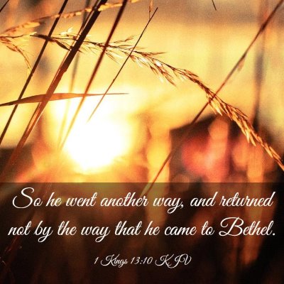 Picture 03 - 1 Kings 13:10 KJV - So he went another way, and returned not by the - Bible Verse Picture