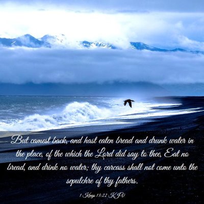 Picture 03 - 1 Kings 13:22 KJV - But camest back, and hast eaten bread and drunk - Bible Verse Picture