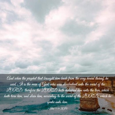 Picture 03 - 1 Kings 13:26 KJV - And when the prophet that brought him back from - Bible Verse Picture