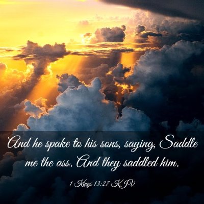 Picture 03 - 1 Kings 13:27 KJV - And he spake to his sons, saying, Saddle me the - Bible Verse Picture