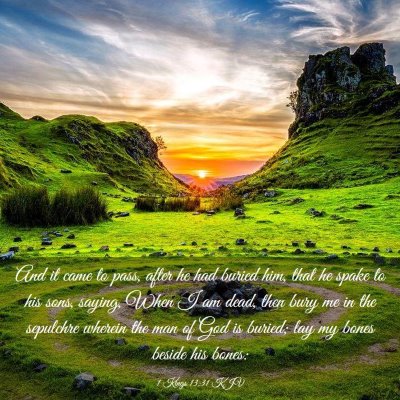 Picture 03 - 1 Kings 13:31 KJV - And it came to pass, after he had buried him, - Bible Verse Picture