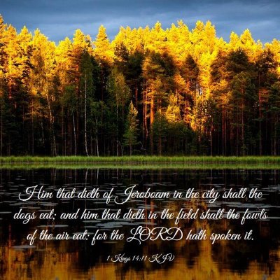 Picture 03 - 1 Kings 14:11 KJV - Him that dieth of Jeroboam in the city shall the - Bible Verse Picture
