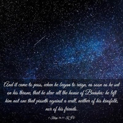 Picture 03 - 1 Kings 16:11 KJV - And it came to pass, when he began to reign, as - Bible Verse Picture