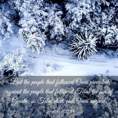 Picture 03 - 1 Kings 16:22 KJV - But the people that followed Omri prevailed - Bible Verse Picture