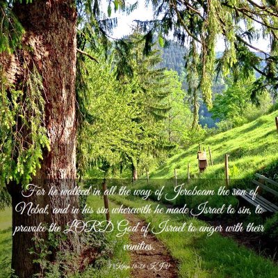 Picture 03 - 1 Kings 16:26 KJV - For he walked in all the way of Jeroboam the son - Bible Verse Picture