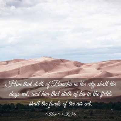 Picture 03 - 1 Kings 16:4 KJV - Him that dieth of Baasha in the city shall the - Bible Verse Picture