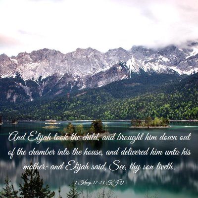 Picture 03 - 1 Kings 17:23 KJV - And Elijah took the child, and brought him down - Bible Verse Picture