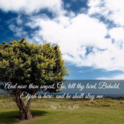 Picture 03 - 1 Kings 18:14 KJV - And now thou sayest, Go, tell thy lord, Behold, - Bible Verse Picture