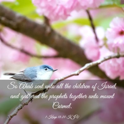 Picture 03 - 1 Kings 18:20 KJV - So Ahab sent unto all the children of Israel, and - Bible Verse Picture