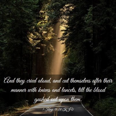 Picture 03 - 1 Kings 18:28 KJV - And they cried aloud, and cut themselves after - Bible Verse Picture