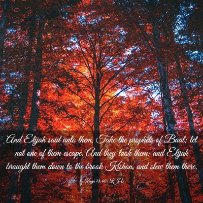 Picture 03 - 1 Kings 18:40 KJV - And Elijah said unto them, Take the prophets of - Bible Verse Picture