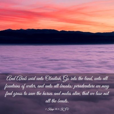 Picture 03 - 1 Kings 18:5 KJV - And Ahab said unto Obadiah, Go into the land, - Bible Verse Picture