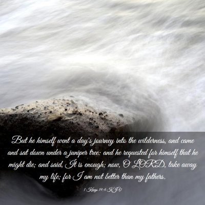 Picture 03 - 1 Kings 19:4 KJV - But he himself went a day's journey into the - Bible Verse Picture