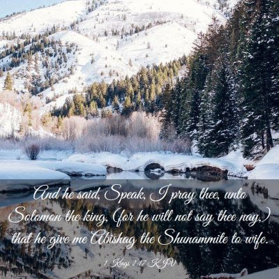 Picture 03 - 1 Kings 2:17 KJV - And he said, Speak, I pray thee, unto Solomon the - Bible Verse Picture
