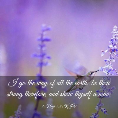 Picture 03 - 1 Kings 2:2 KJV - I go the way of all the earth: be thou strong - Bible Verse Picture