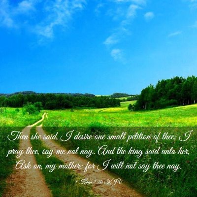 Picture 03 - 1 Kings 2:20 KJV - Then she said, I desire one small petition of - Bible Verse Picture