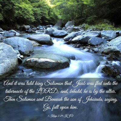 Picture 03 - 1 Kings 2:29 KJV - And it was told king Solomon that Joab was fled - Bible Verse Picture