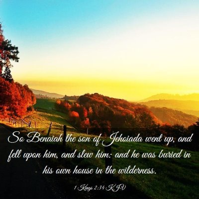 Picture 03 - 1 Kings 2:34 KJV - So Benaiah the son of Jehoiada went up, and fell - Bible Verse Picture
