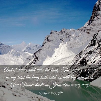 Picture 03 - 1 Kings 2:38 KJV - And Shimei said unto the king, The saying is - Bible Verse Picture