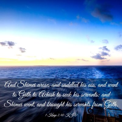 Picture 03 - 1 Kings 2:40 KJV - And Shimei arose, and saddled his ass, and went - Bible Verse Picture