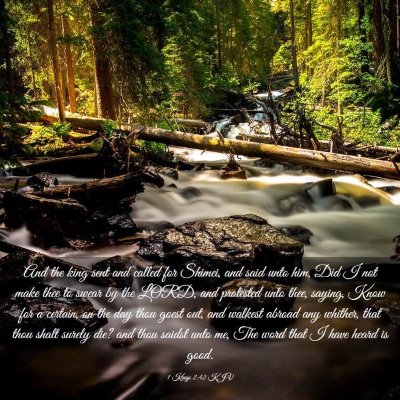 Picture 03 - 1 Kings 2:42 KJV - And the king sent and called for Shimei, and said - Bible Verse Picture