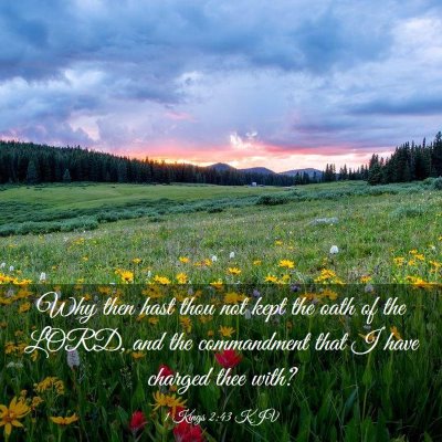Picture 03 - 1 Kings 2:43 KJV - Why then hast thou not kept the oath of the LORD, - Bible Verse Picture