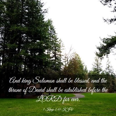 Picture 03 - 1 Kings 2:45 KJV - And king Solomon shall be blessed, and the throne - Bible Verse Picture