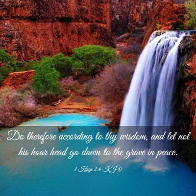 Picture 03 - 1 Kings 2:6 KJV - Do therefore according to thy wisdom, and let not - Bible Verse Picture