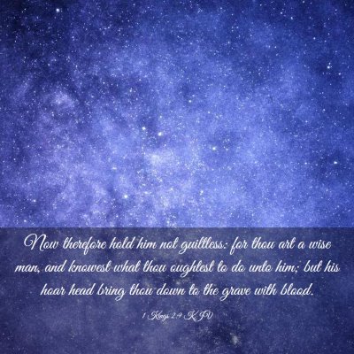 Picture 03 - 1 Kings 2:9 KJV - Now therefore hold him not guiltless: for thou - Bible Verse Picture