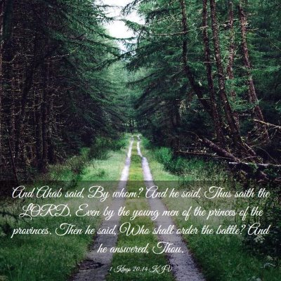 Picture 03 - 1 Kings 20:14 KJV - And Ahab said, By whom? And he said, Thus saith - Bible Verse Picture