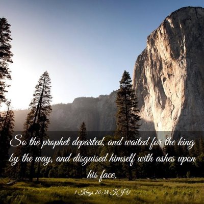 Picture 03 - 1 Kings 20:38 KJV - So the prophet departed, and waited for the king - Bible Verse Picture
