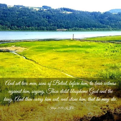 Picture 03 - 1 Kings 21:10 KJV - And set two men, sons of Belial, before him, to - Bible Verse Picture
