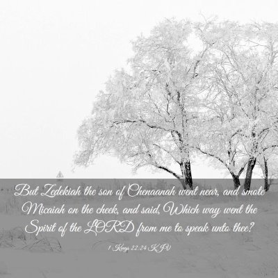 Picture 03 - 1 Kings 22:24 KJV - But Zedekiah the son of Chenaanah went near, and - Bible Verse Picture