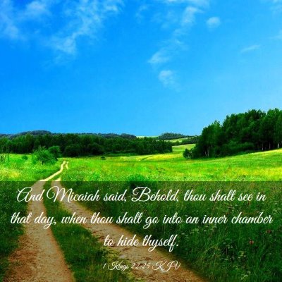Picture 03 - 1 Kings 22:25 KJV - And Micaiah said, Behold, thou shalt see in that - Bible Verse Picture