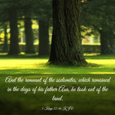 Picture 03 - 1 Kings 22:46 KJV - And the remnant of the sodomites, which remained - Bible Verse Picture