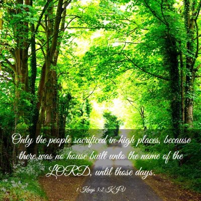 Picture 03 - 1 Kings 3:2 KJV - Only the people sacrificed in high places, - Bible Verse Picture