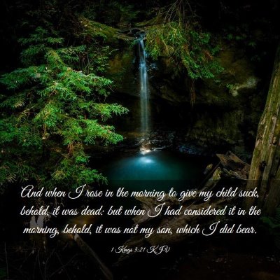 Picture 03 - 1 Kings 3:21 KJV - And when I rose in the morning to give my child - Bible Verse Picture