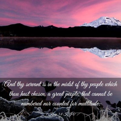 Picture 03 - 1 Kings 3:8 KJV - And thy servant is in the midst of thy people - Bible Verse Picture