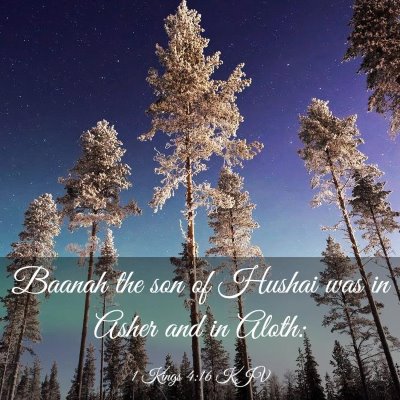 Picture 03 - 1 Kings 4:16 KJV - Baanah the son of Hushai was in Asher and in - Bible Verse Picture
