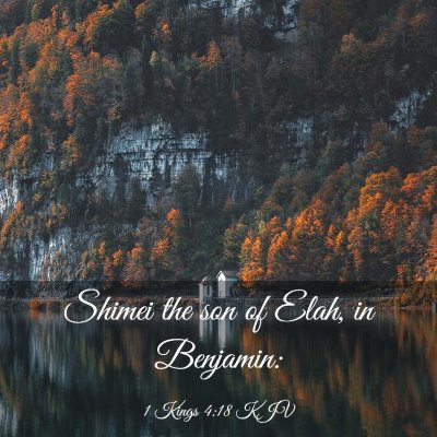 Picture 03 - 1 Kings 4:18 KJV - Shimei the son of Elah, in - Bible Verse Picture