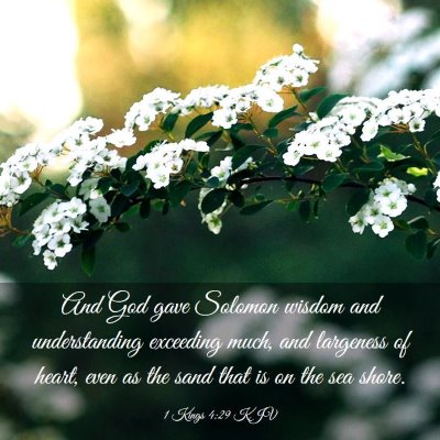Picture 03 - 1 Kings 4:29 KJV - And God gave Solomon wisdom and understanding - Bible Verse Picture