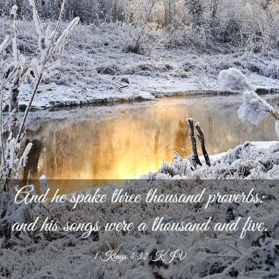 Picture 03 - 1 Kings 4:32 KJV - And he spake three thousand proverbs: and his - Bible Verse Picture
