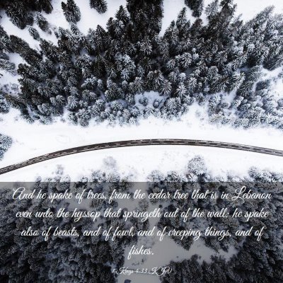 Picture 03 - 1 Kings 4:33 KJV - And he spake of trees, from the cedar tree that - Bible Verse Picture