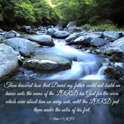 Picture 03 - 1 Kings 5:3 KJV - Thou knowest how that David my father could not - Bible Verse Picture