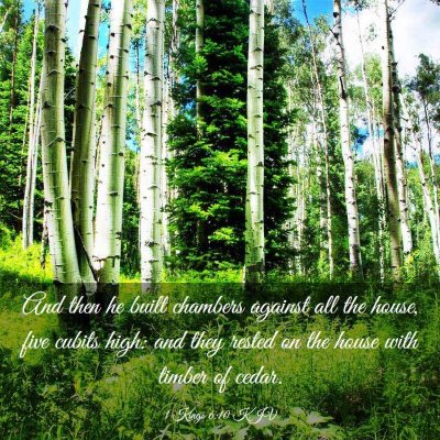 Picture 03 - 1 Kings 6:10 KJV - And then he built chambers against all the house, - Bible Verse Picture