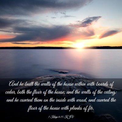Picture 03 - 1 Kings 6:15 KJV - And he built the walls of the house within with - Bible Verse Picture